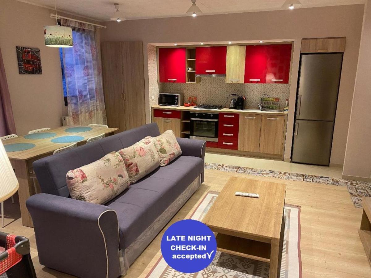 Appartamento Igi Red Flat With Free Private Parking Cluj-Napoca Esterno foto