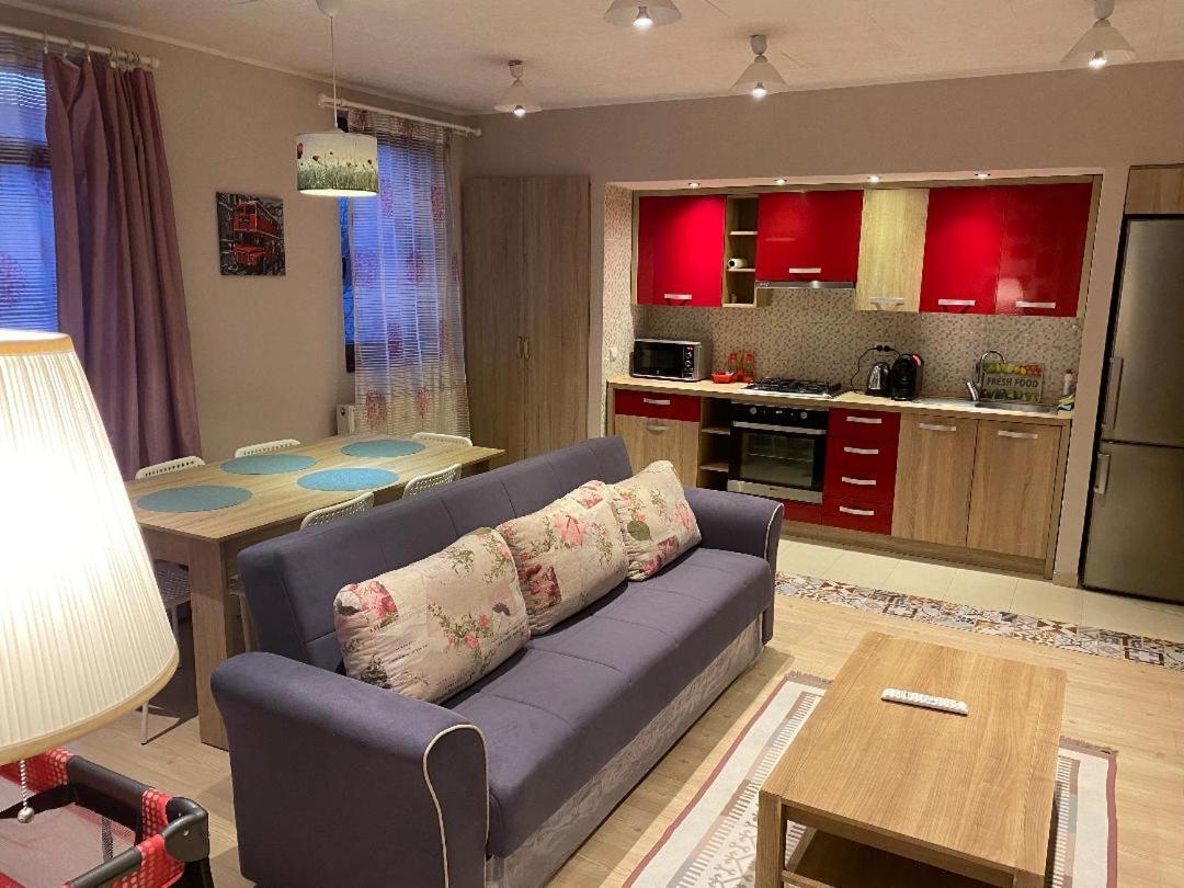 Appartamento Igi Red Flat With Free Private Parking Cluj-Napoca Esterno foto